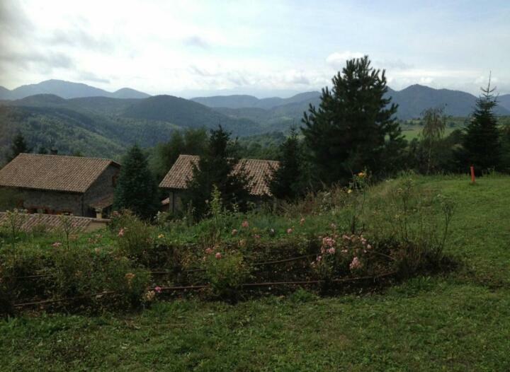 Casa Rural Mollo, Vall De Camprodon Экстерьер фото